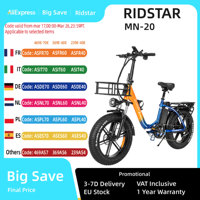 Ridstar MN-20 E-bike 1000W Motor 48V15AH Battery city Electric Bicycle  Adult 20*4-inch Fat Tire Off-road Electr