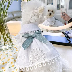 1PC Pet Clothing Dog Spring/Summer/Autumn Thin White Hollow out Style Princess Flying Sleeve Dress For Small Medium Dogs