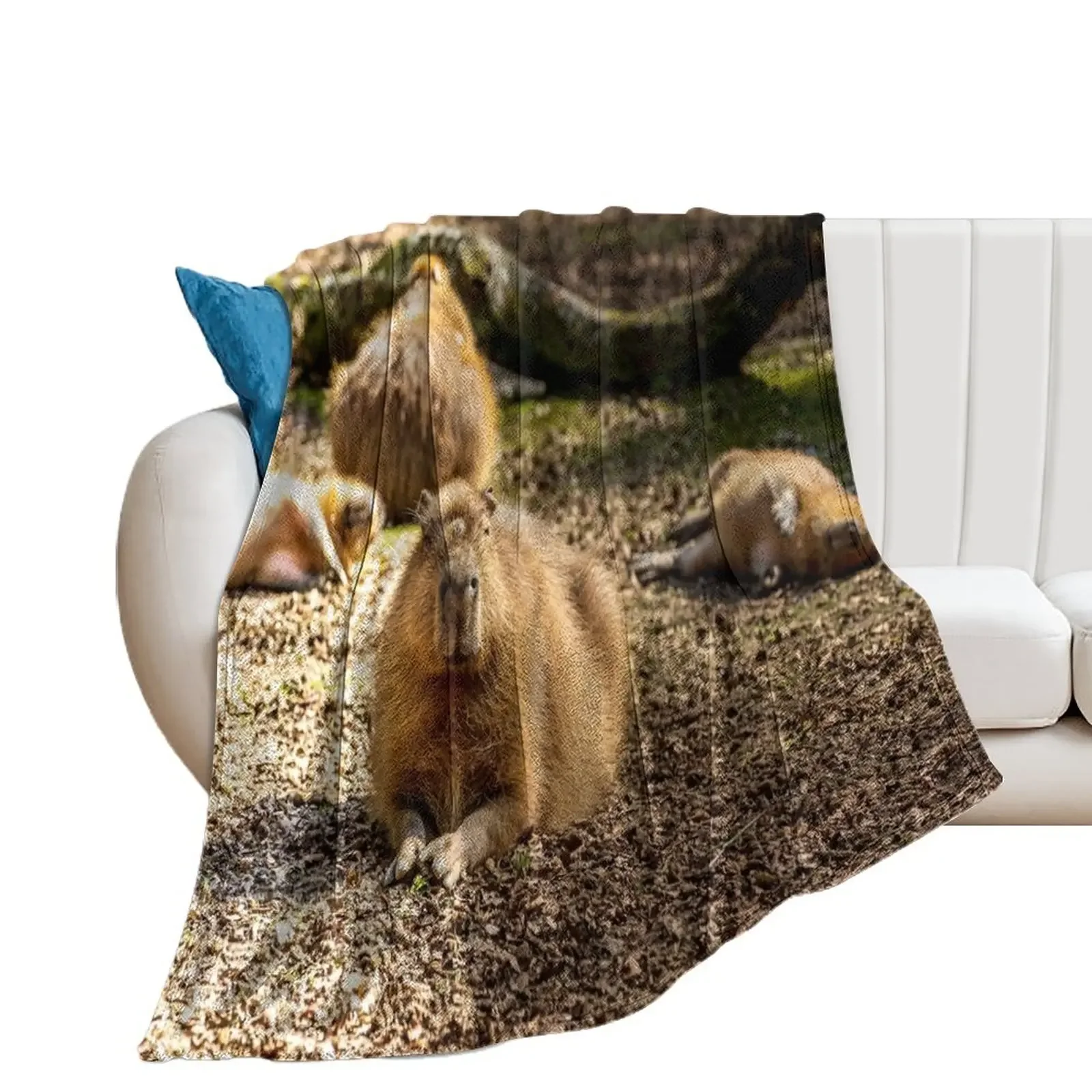 

Capybara taking the Sun Throw Blanket Baby Nap Blankets