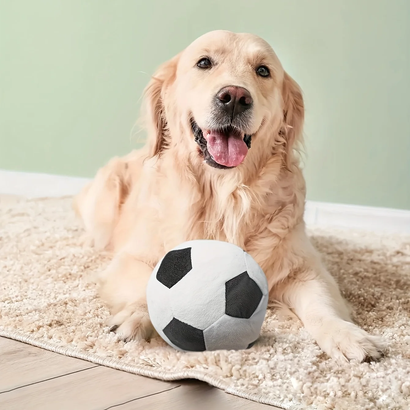 1 Fußball-Plüschtier in zufälliger Farbe für Hunde und Katzen zum Interagieren und Spielen – Detail 4