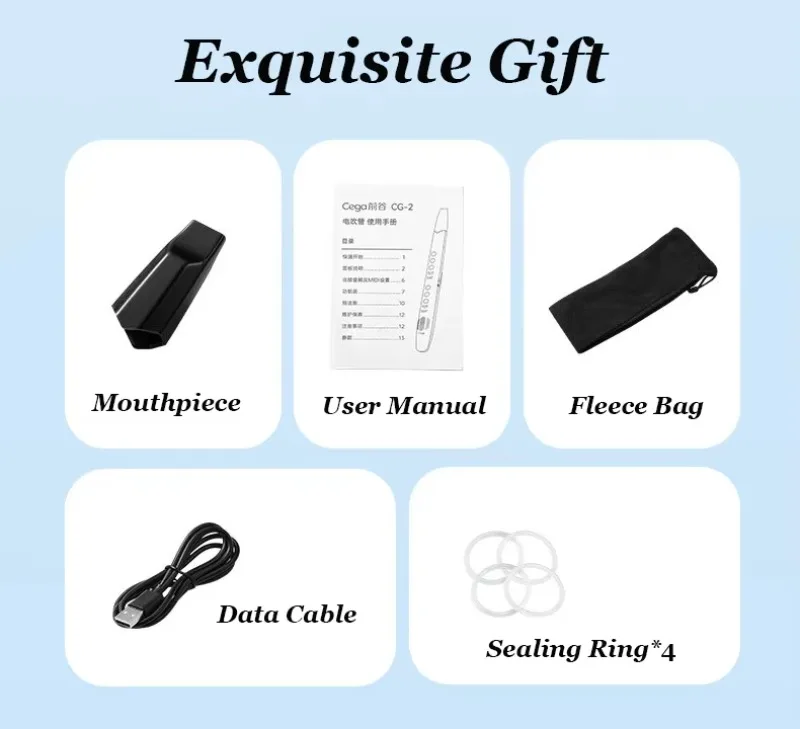 Electric wind instrument set with 12-tone primary old saxophone wind instrument flute gift