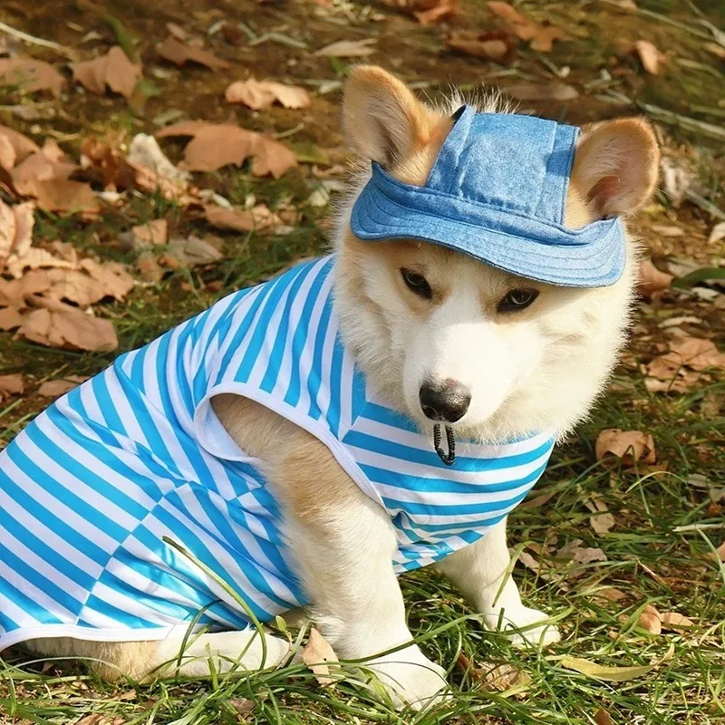Summer Pet Hat Small Medium Large Leaky Ear Sunscreen Linen Sun Hat