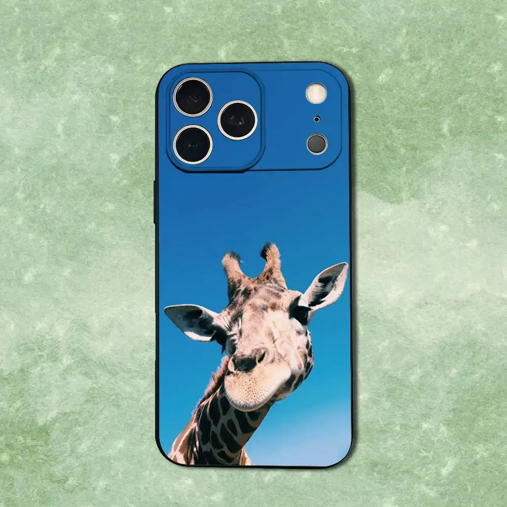 حافظة هاتف على شكل حيوان زرافة لهاتف آيفون 14,13,17,12,11,16,15,Plus,Pro Max,XS,X,XR,SE,Mini,Soft غطاء أسود من السيليكون الناعم