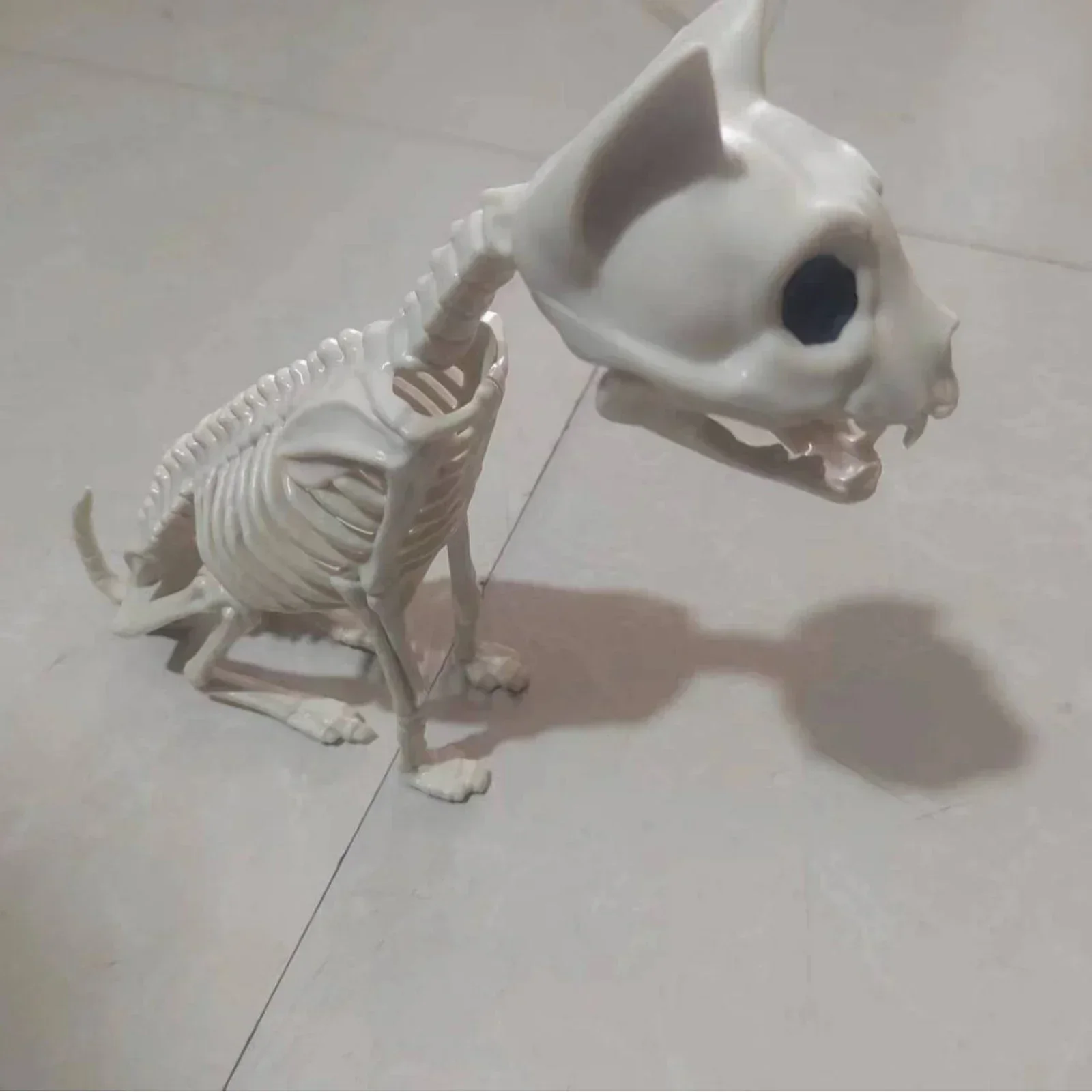 Posable Plastic Skeleton Cat Haunted House Decor Scary Bone-Chilling Ornaments for Halloween Party, Yard & Home Decor