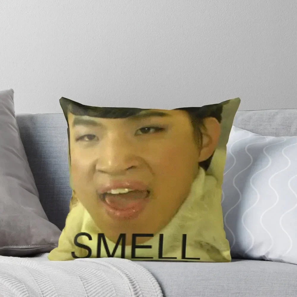 

Daesung Smell Throw Pillow Luxury Cushion Cover Cushion Cover For Sofa pillow