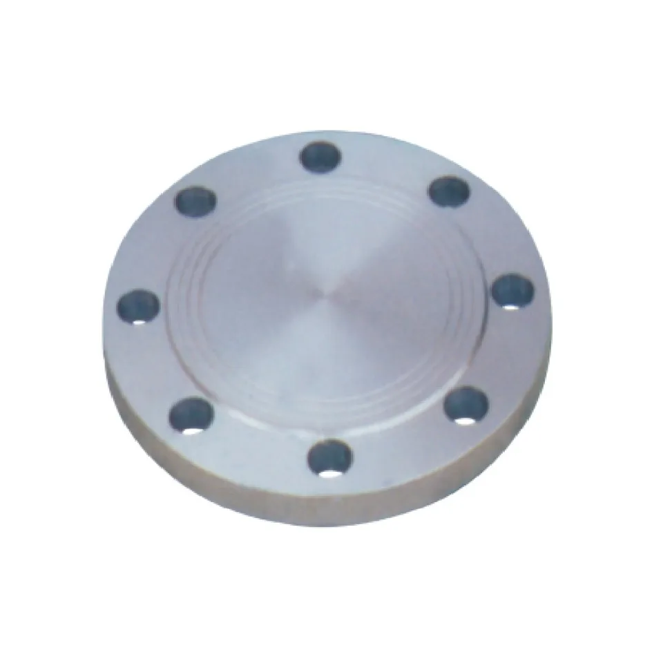 

YYHC-304 Stainless Steel Blind Flange Cover Welding Neck Forged Slide-In And Welding Neck Flange