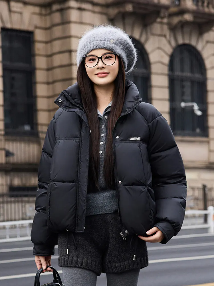 Vielleicht 2025 New Korean Winter Women's Down Cotton Jacket Short Cotton Padded Outerwear Stand Collar Ladies Winter Parkas