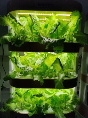 Plantador de verduras multicapa inteligente hidropónico, equipo de cultivo sin suelo para interiores, plántulas de verduras