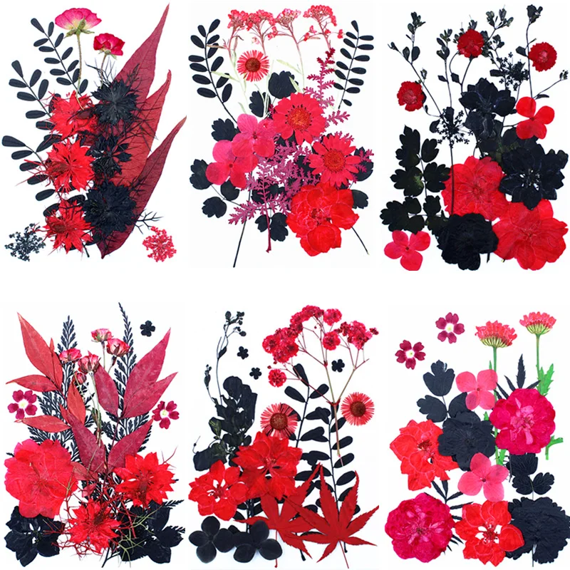 

Natural Dried Flower Pressed Flower DIY Material Mixed Pack Plant Specimens Pressedflower Red and Black Dried Flower Combination Black and Red Pressed Flower Photo Frame Decoration