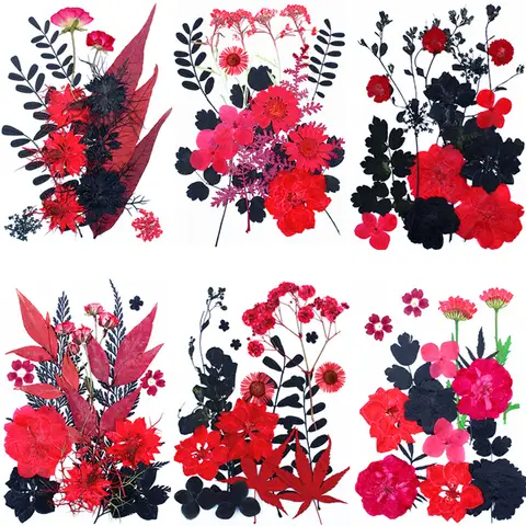 Natural Dried Flower Pressed Flower DIY Material Mix Pack Plant Specimens Pressedflower Red and Black Dried Flower Combination Black and Red Pressed Flower Frame Decoration