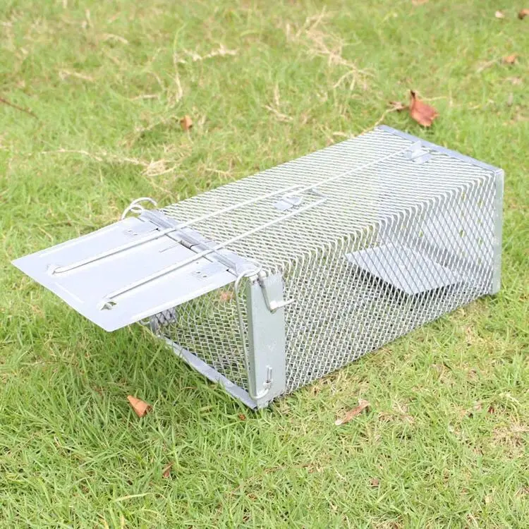 Rat Trap Steel No Kill Live Catch With Air Holes Mice Trap Effective Sanitary Safe Mouse Cage Hamsters Chipmunks Live Rodent