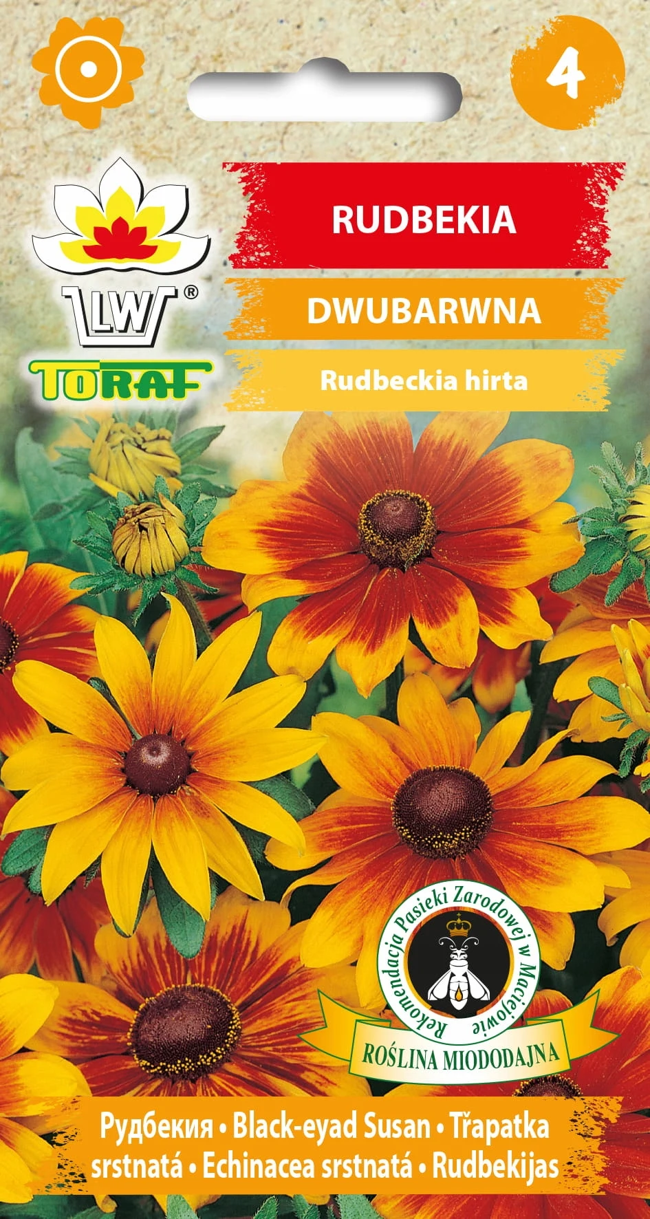 Rudbeckia TWEE-KLEURIGE Bloemzaden-633 Toraf