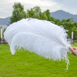 10 Pz/lotto Naturale Bianco Piume di struzzo per L'artigianato 15-45 CM Decorazione Della Festa Nuziale Centrotavola di Carnevale Plumas Deco