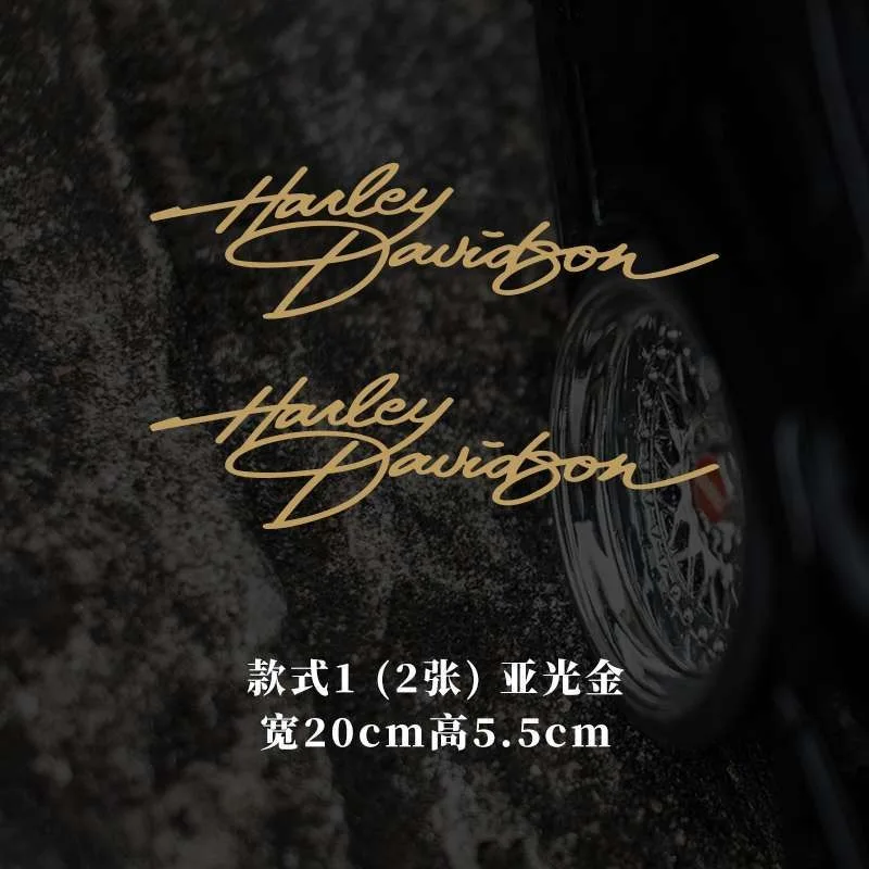 Adesivi Decorativi Personalizzati per Serbatoio Moto Harley Davidson Pan America ADV 1250 PA1250 PANAMERICA