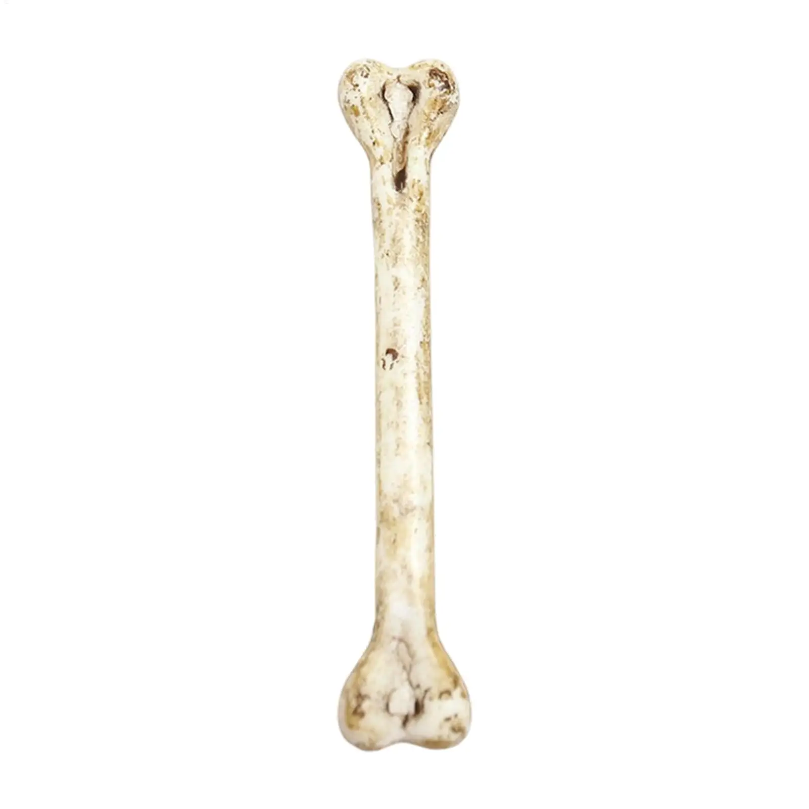 Halloween Skeleton Bones Bulk Skin-Friendly Realistic 10 Pieces Pendants Realistic Small Fake Skeleton Bones For Keychain Car