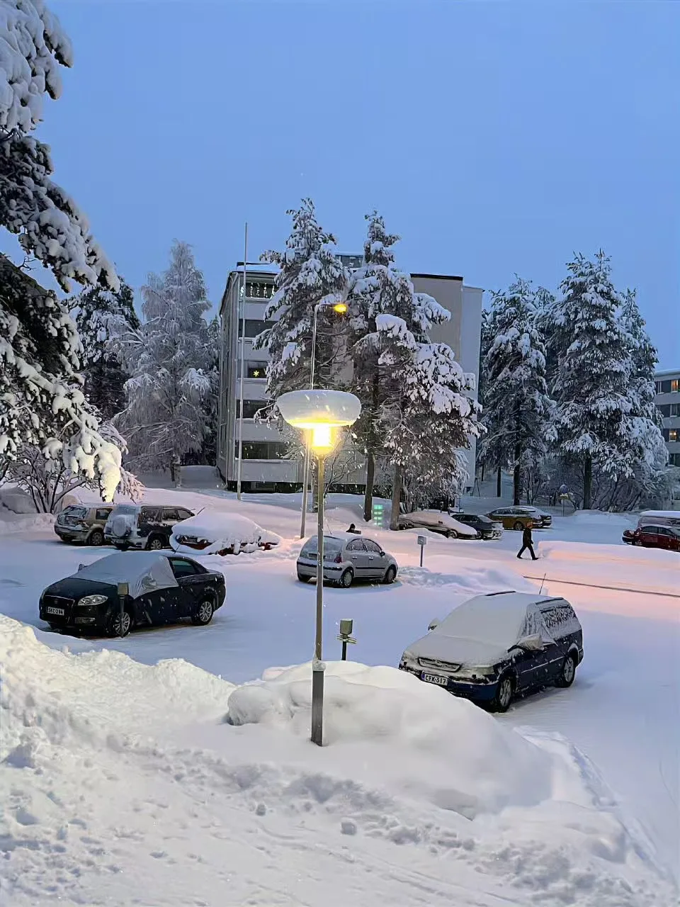 حار بيع المهنية تجميد آلة تخفيض الدهون ثبات التخسيس جهاز سبا T صدمة التهاب السيلوليت الساخن البارد #1