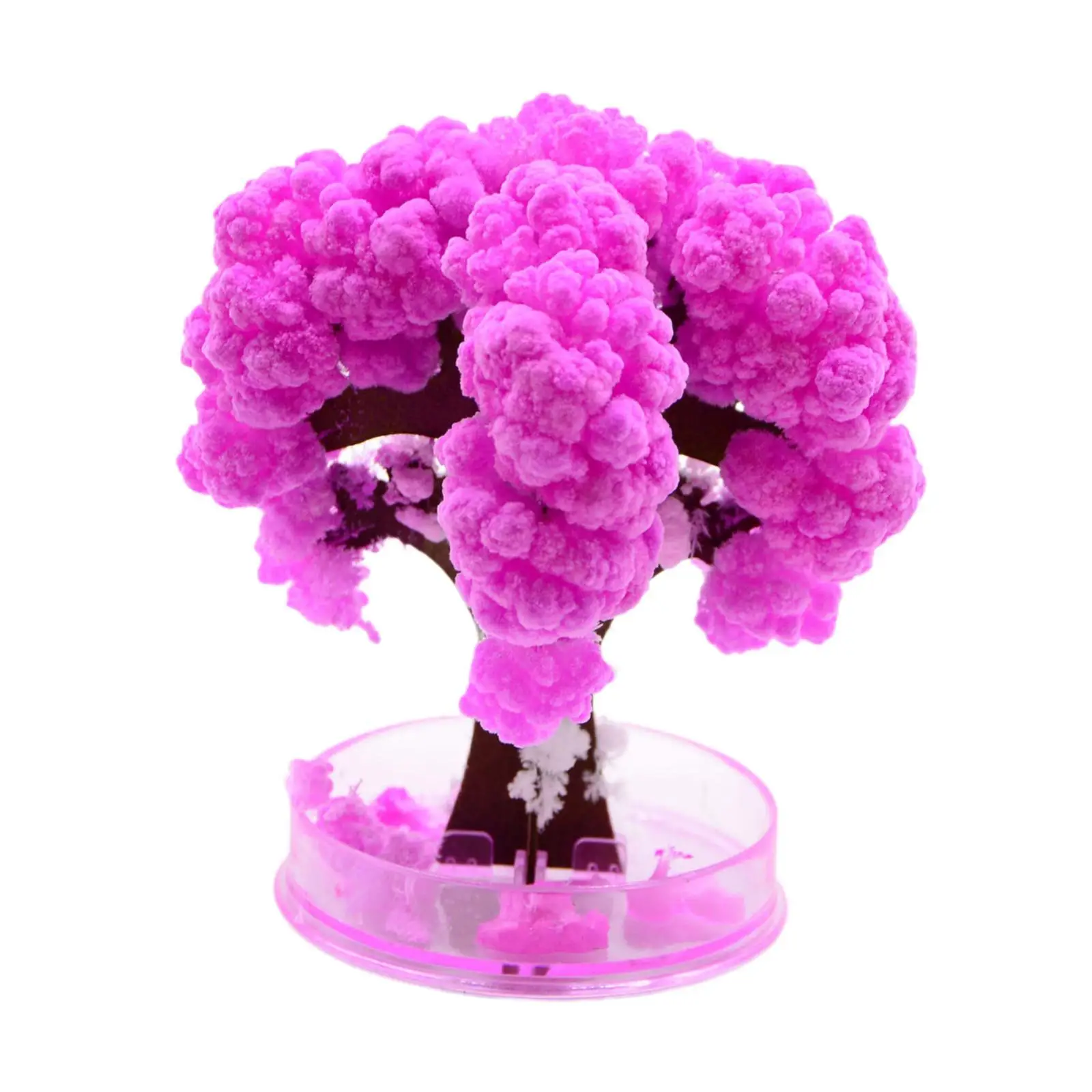 Growing Cherry Blossom Tree Ornament Decoration Decorative DIY Science Experiment Kit Sakura Tree Growing Kit Craft Kit for Kids