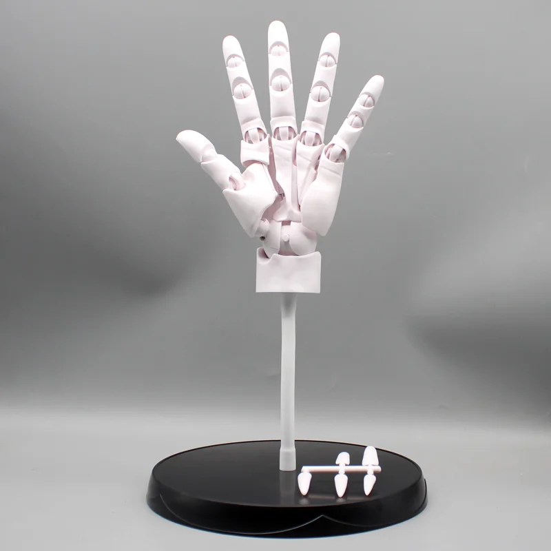 37cm Human Hand Model With Movable Finger Joints 1:1 Simulation Palm Student Drawing Reference Art Materials Desktop OrnamentToy