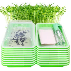 Seedling Trays Germination Box Spray Bottle Humidity Transparent Cover Nursery Seedling for Greenhouse Indoor Garden Growth Pots
