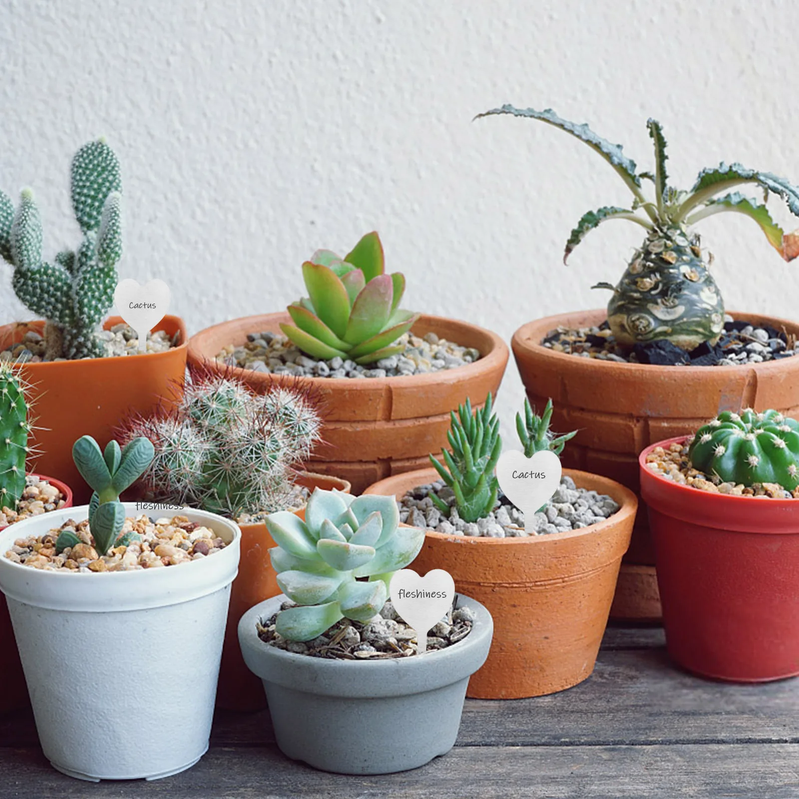 

50Pcs Metal Heart Plant Tags Garden Markers with Solid Color Design for Plant Identification Reusable Stainless Steel Flower