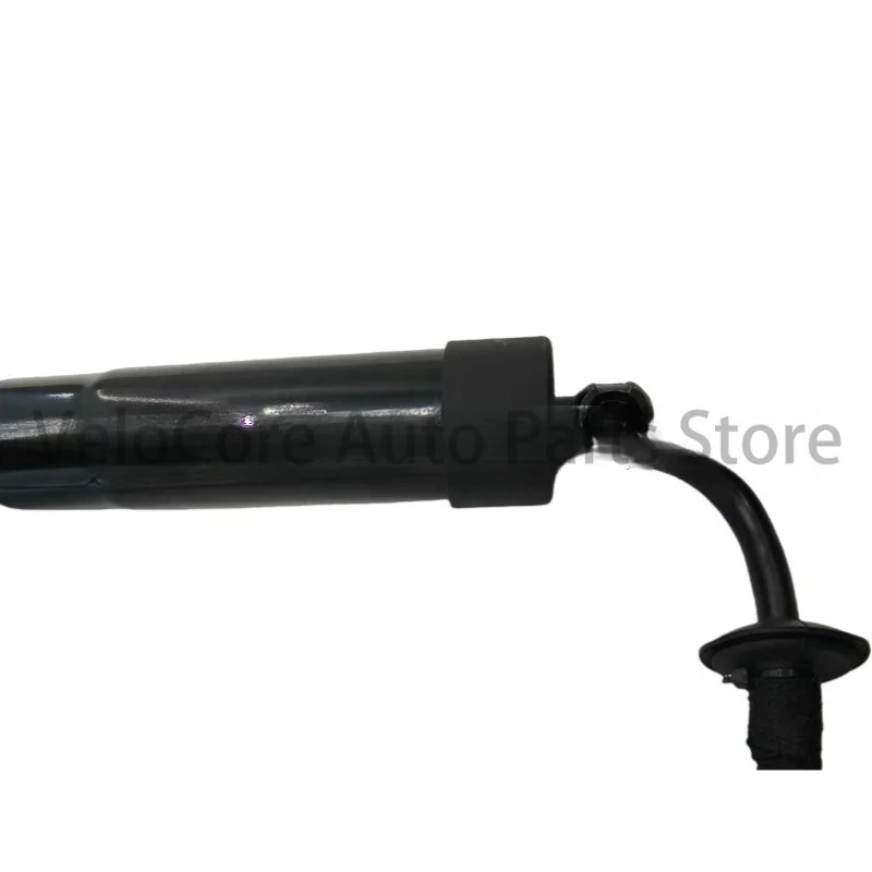 Power Tailgate Lift Strut OE 6892042020, Rear Right Electric Lift Support for Toyota RAV4 2019-2022, Premium Replacement