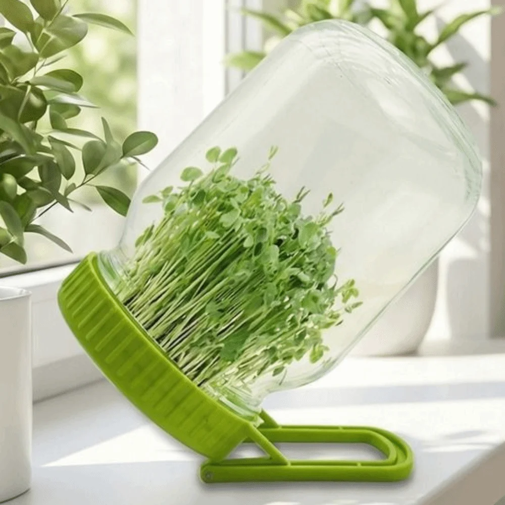 

Plastic Mason Sprouting Lid With Bracket Efficient Bean Sprouting Kit Draining Mesh Sprouting Tray Jar Sprouting System