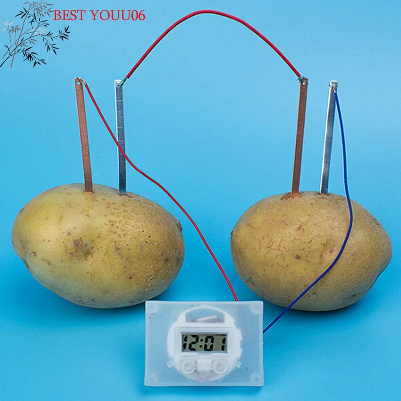 Hot Children Bio En…