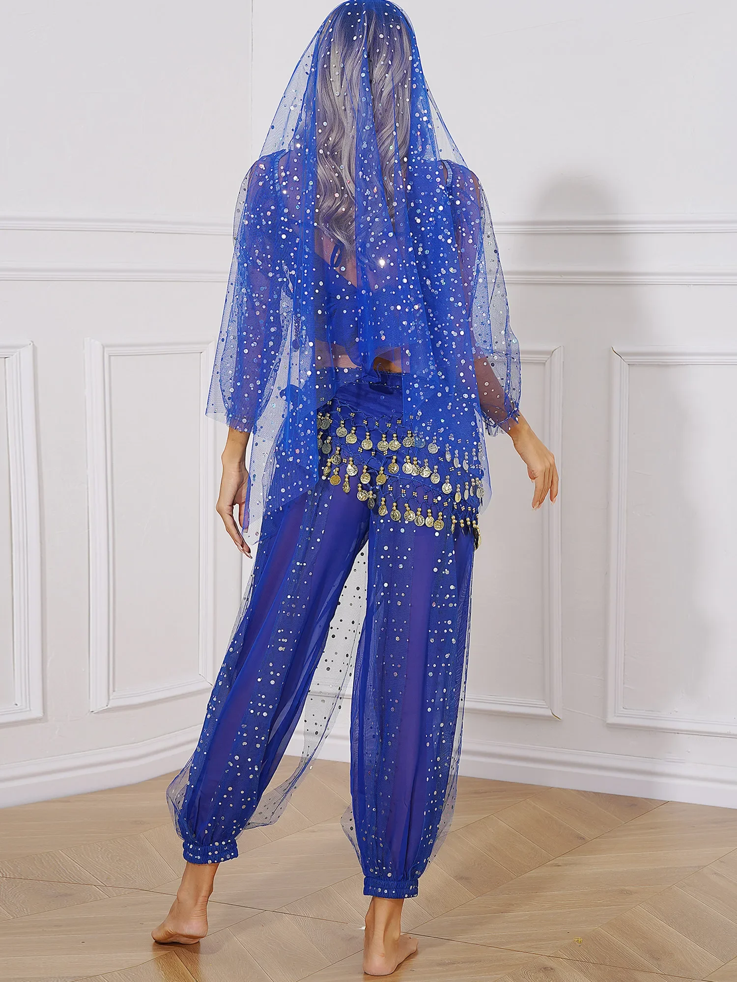 Professional Belly Dancing Costume Women Fancy Theme Party Dress-up Suit Oriental/Indian Dancewear Stage Performance 5-Piece/Set