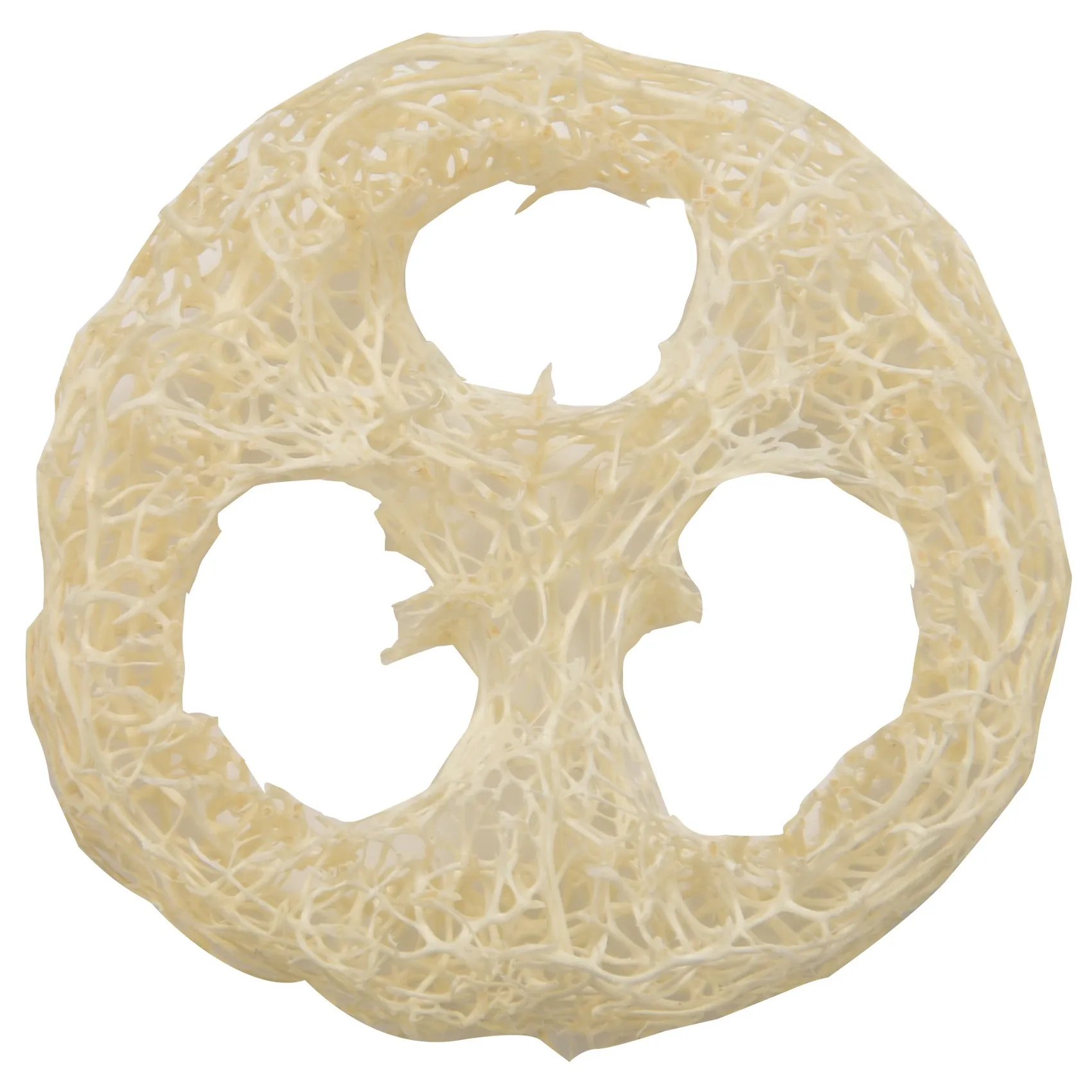 Tranche de Luffa Naturelle de 4 à 6cm de Large, Outils de Bricolage Personnalisés, Nettoyant, Éponge à Récurer, Support Regina, 50 Pièces/Lot