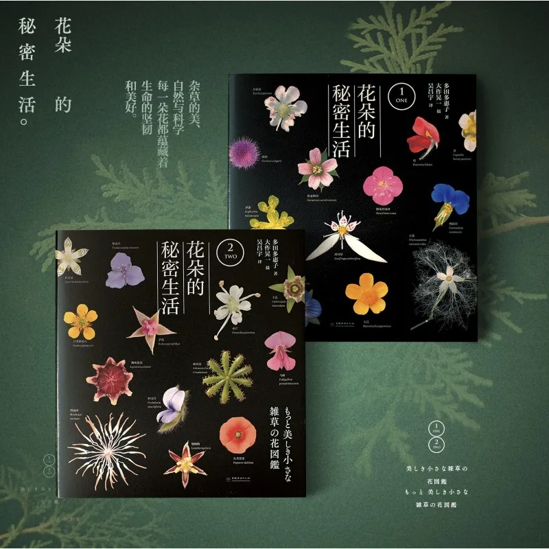 2 Books The Secret Life of Flowers Popular Science Books Simplified Chinese Version of A Bestselling Japanese Plant Science Book