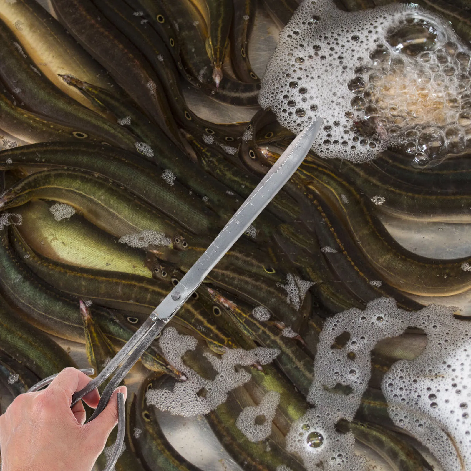 

Loach Clamp Steel Ergonomic Handle For Outdoor Crab Tong Fish Catching Tool Metal Sea Crab Grabber Clamp Kitchen Bar