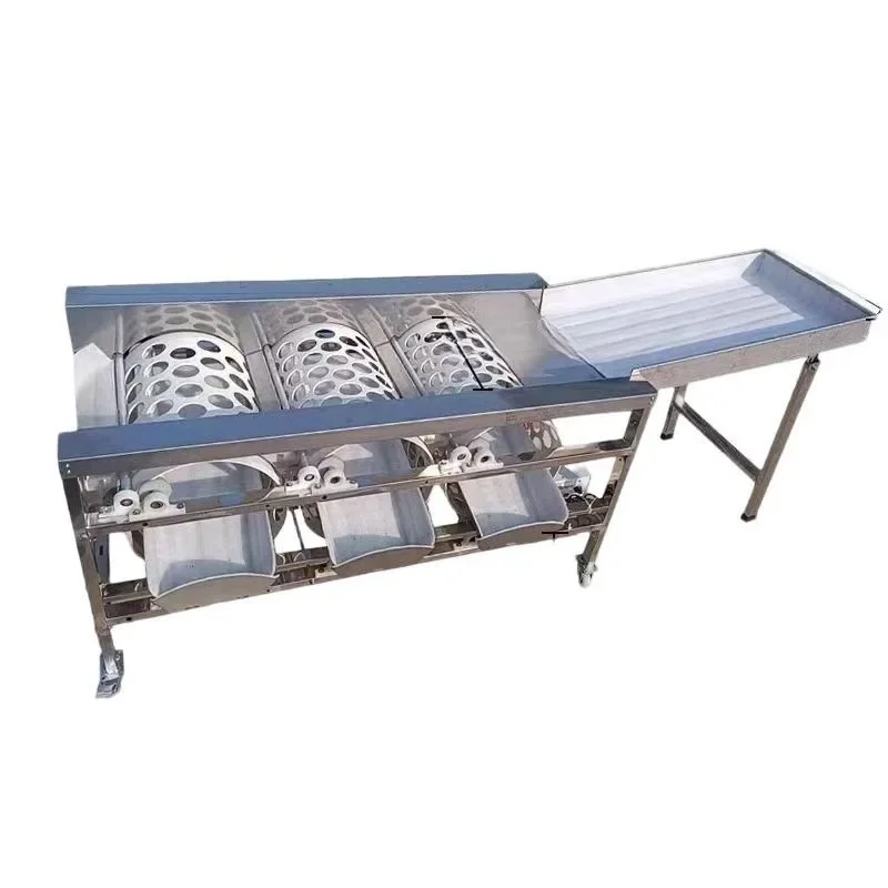 Roller Citrus Sorter Fruit Sorter Screening Machine Orange Passion Fruit Vogan Fruit Sorter