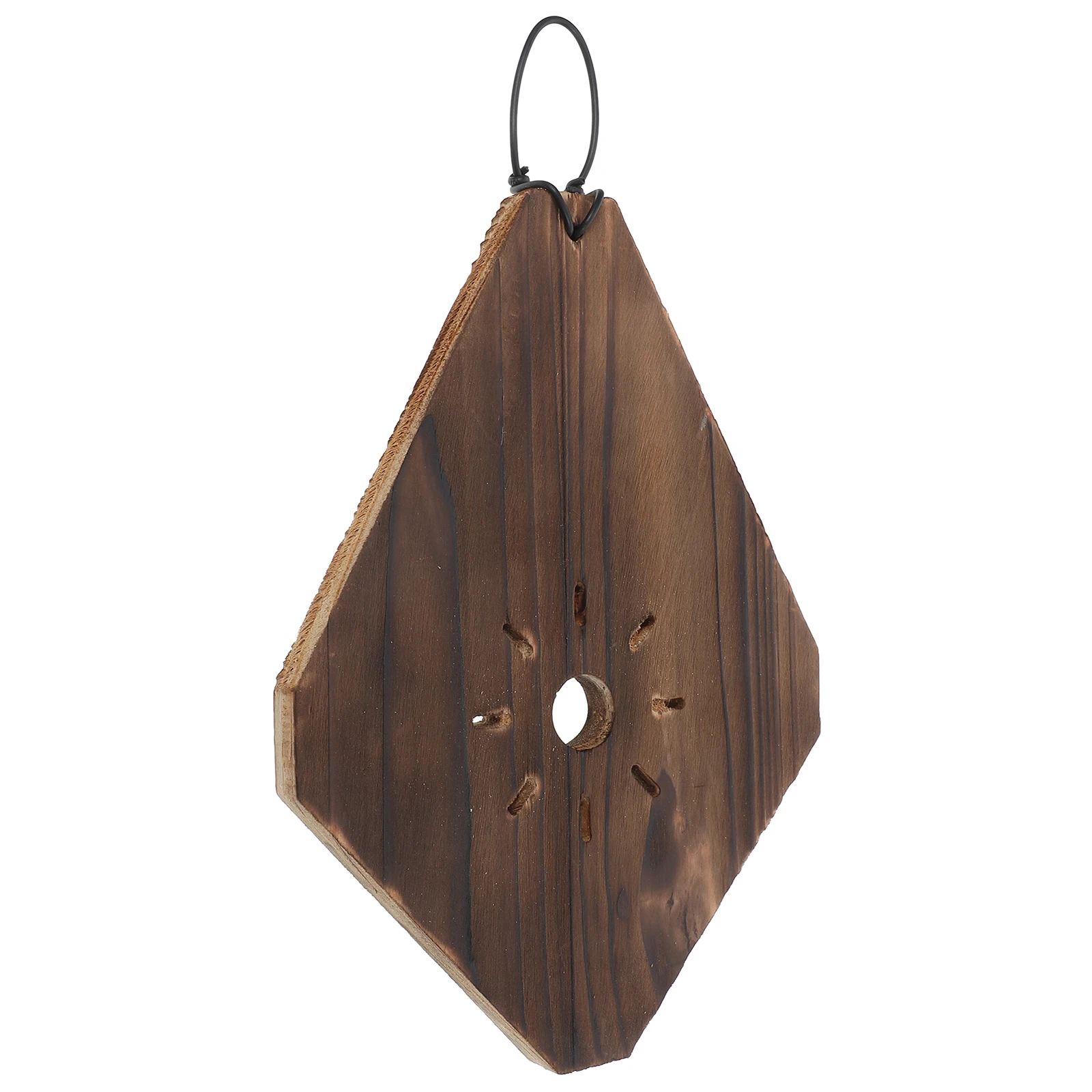 

Staghorn Fern Hanging Board Vertical Garden Planter Wood Wall Mount Orchids Succulents Spacesaving Lightweight