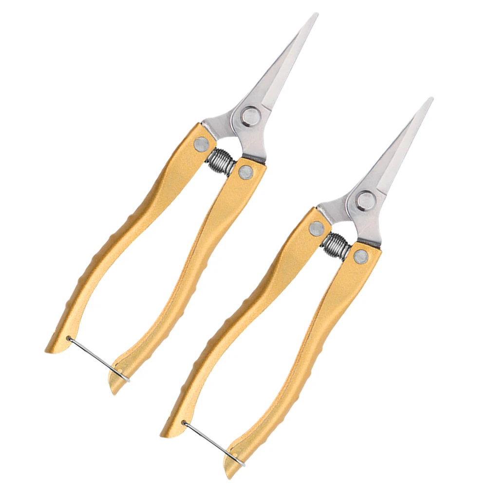

2 Pcs Pruning Shears Stainless Steel Garden Tools for Indoor Plants Tree Trimming Flower Sichuan Durable Non Slip