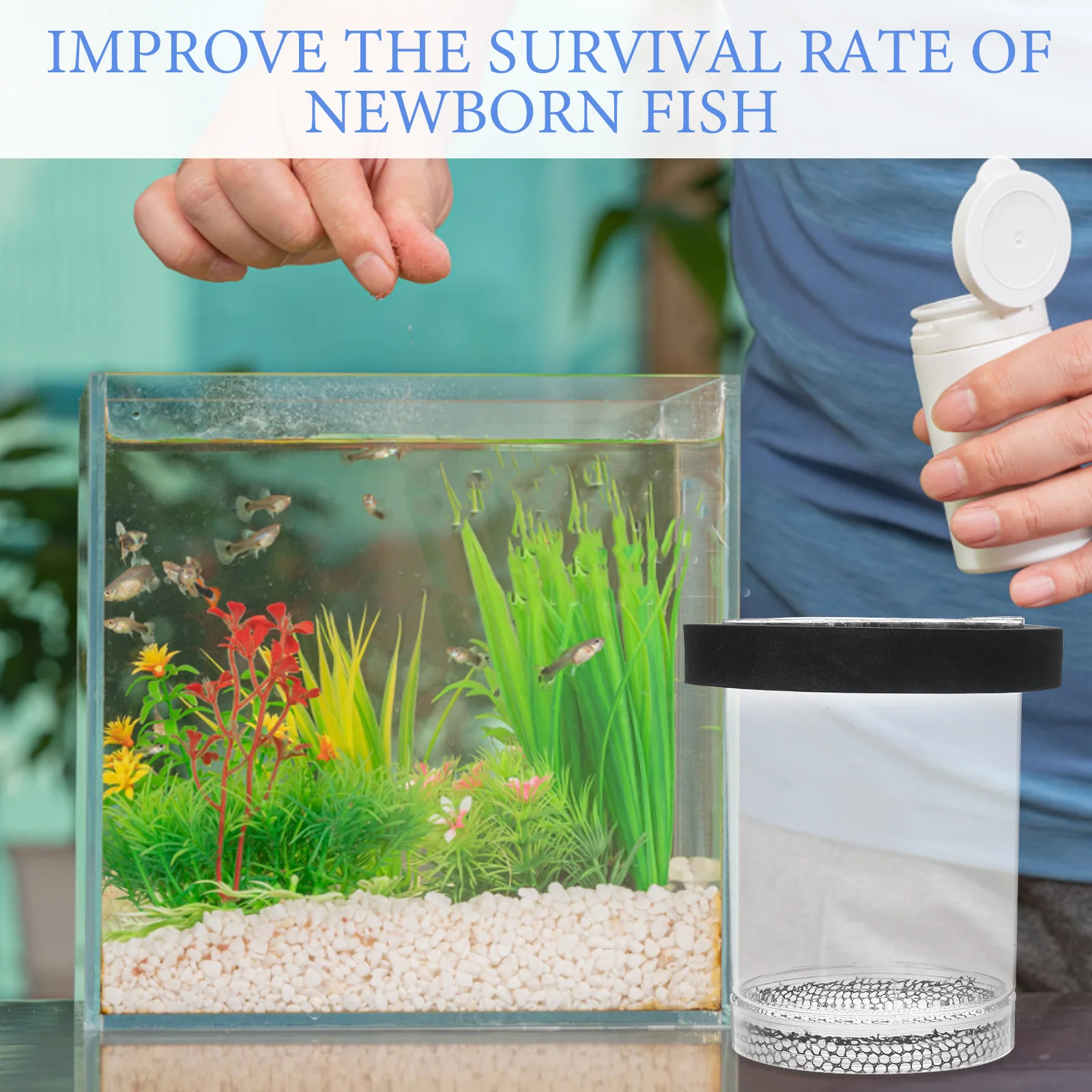 

Floating Breeder Box Aquarium Fish Breeder Tank Breeding Container Hatchery Case Safe Environment Newborn Fry Protection Mother