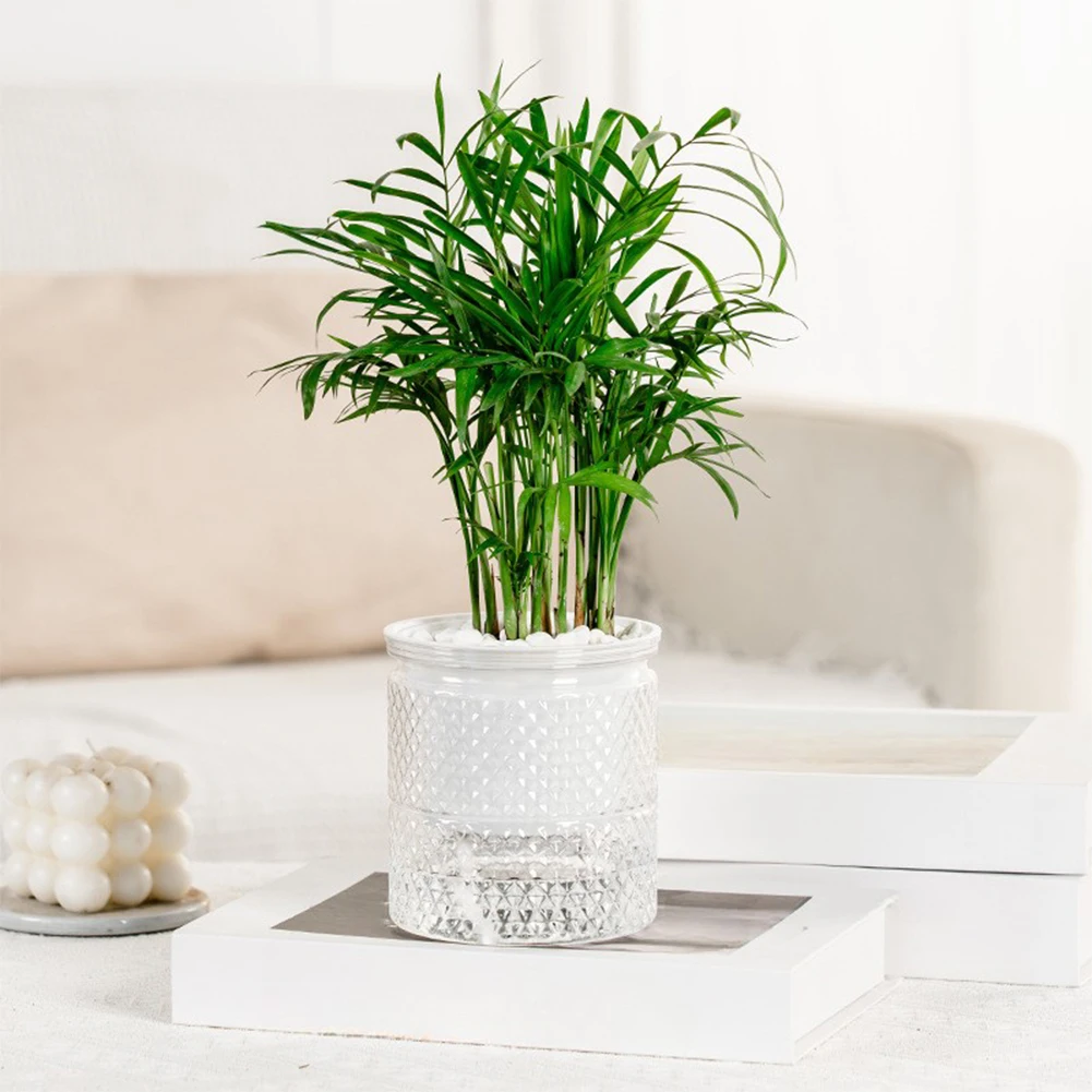 For Kitchen Countertops Indoor Flower Pot 7-14 Day Hydration Plastic Construction UV-resistant Finish For Orchids