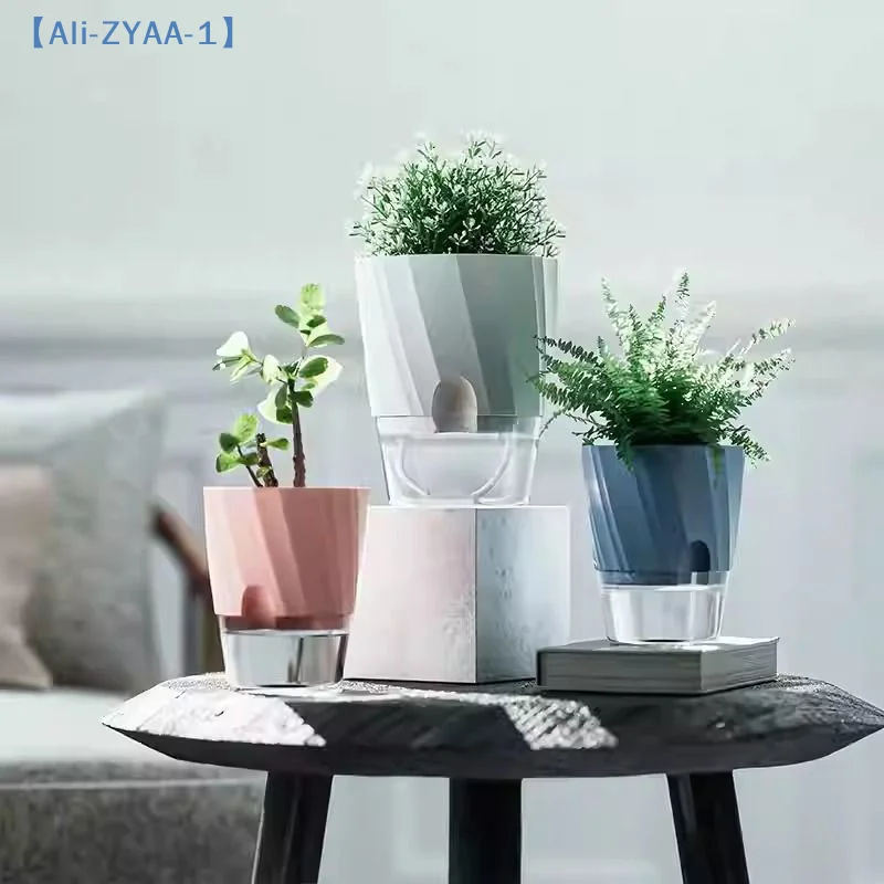 【ZYAA-1】กระถางดอกไม้ไฮโดรโปนิก - Aloe Vera Pot บทวิจารณ์และราคา