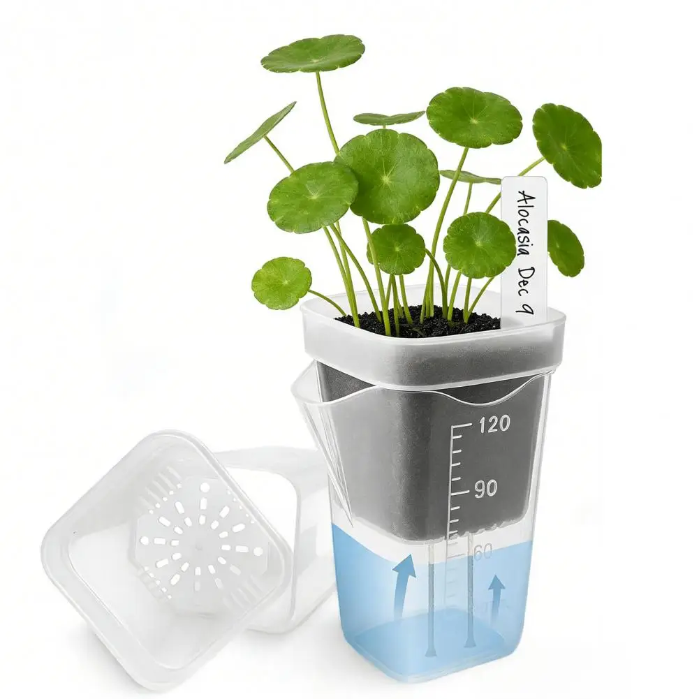 Corm Planter Mini Self Watering Plant Pots with Reservoir Plastic Propagation Planters for Seedlings Cuttings Indoor Semi-