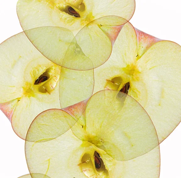 

Профессиональный физиотерапевтический аппарат для магнитотерапии с PEMF: Самый популярный прибор для снятия боли при спортивных травмах