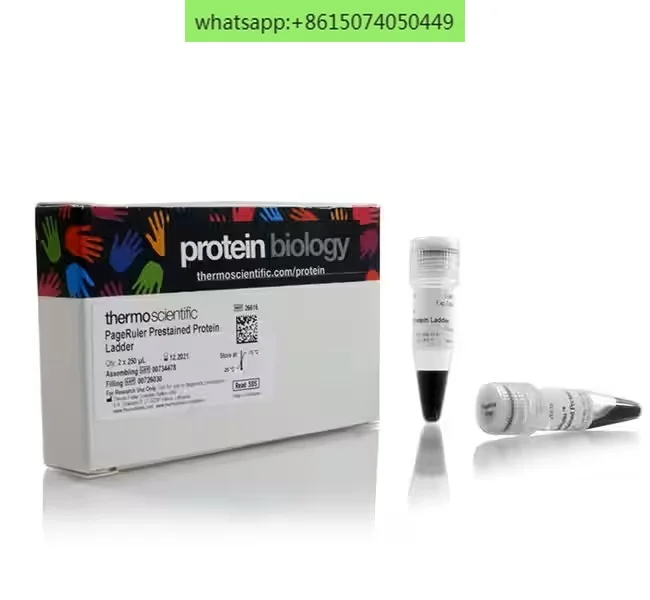 Thermo 26616/26617 Thermo prestained rainbow protein marker