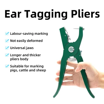 Zwierzęta gospodarskie Klipsy do uszu owiec Klipsy do uszu do identyfikacji kóz Zestaw z 2 szt. szpilek do montażu znacznika bydła Świnia koń