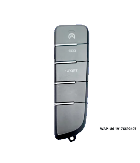 

Two-Color Mold for Car Window Lifter Switch Button Left Rear Door Switch Panel Plastic Parts High Quality Molds