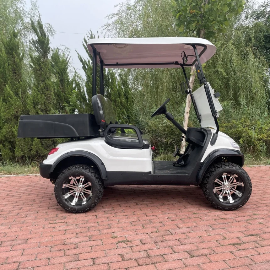 

Электрический гольф-кар для дорог общего пользования с литиевой батареей 72В, электрический грузовой транспорт с задним грузовым отсеком, внедорожными шинами и задним бампером