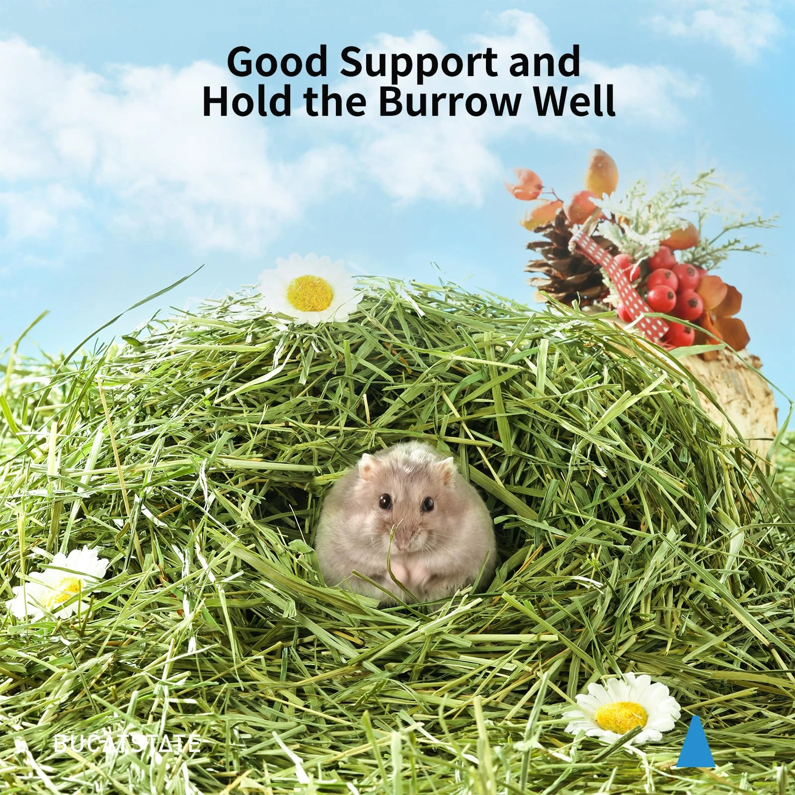 300G Timothy Hay Na… - image