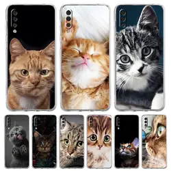 Cartoon Cute Cats Background Phone Case For Samsung Galaxy A52 A50 A70 A10 A30 A40 A20S A20E A02S A12 A22 A72 A32 5G A04s Cover