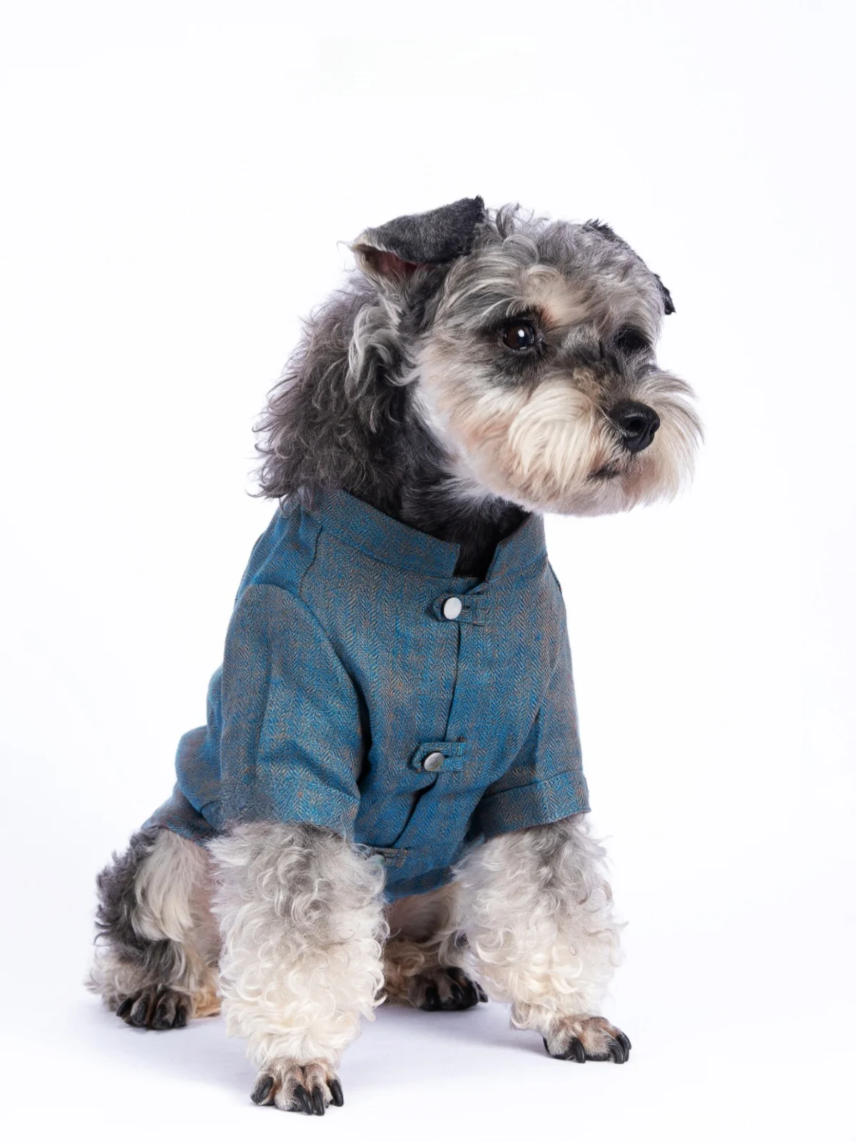 cotton-linen-pet-shirt-for-cats-and-dogs-snarley-teddy-party-ball-pet-fashion-lightweight-breathable-summer-shirt