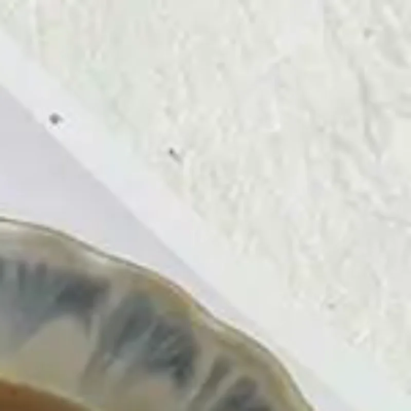 

Милый послеобеденный чай для гурманов, серия, плюшевый кулон, брелок с имитацией яичного пирога, хлеба, мягкая кукла, рюкзак, декоративная подвеска, подарки