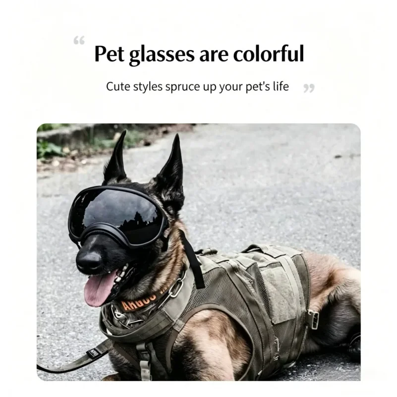 Dog Sunglasses UV Protection, Impact Wind Resistant Pet Goggles, Adjustable Strap, All Sizes