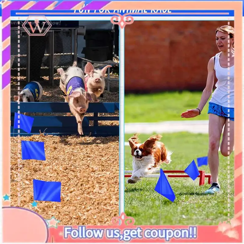 AT84-Marking Flags Marker Flags For Lawn 60 Pack, PVC Small Flags,Marking Flags Lawn Flags, Garden Flags,Survey Flags,Blue