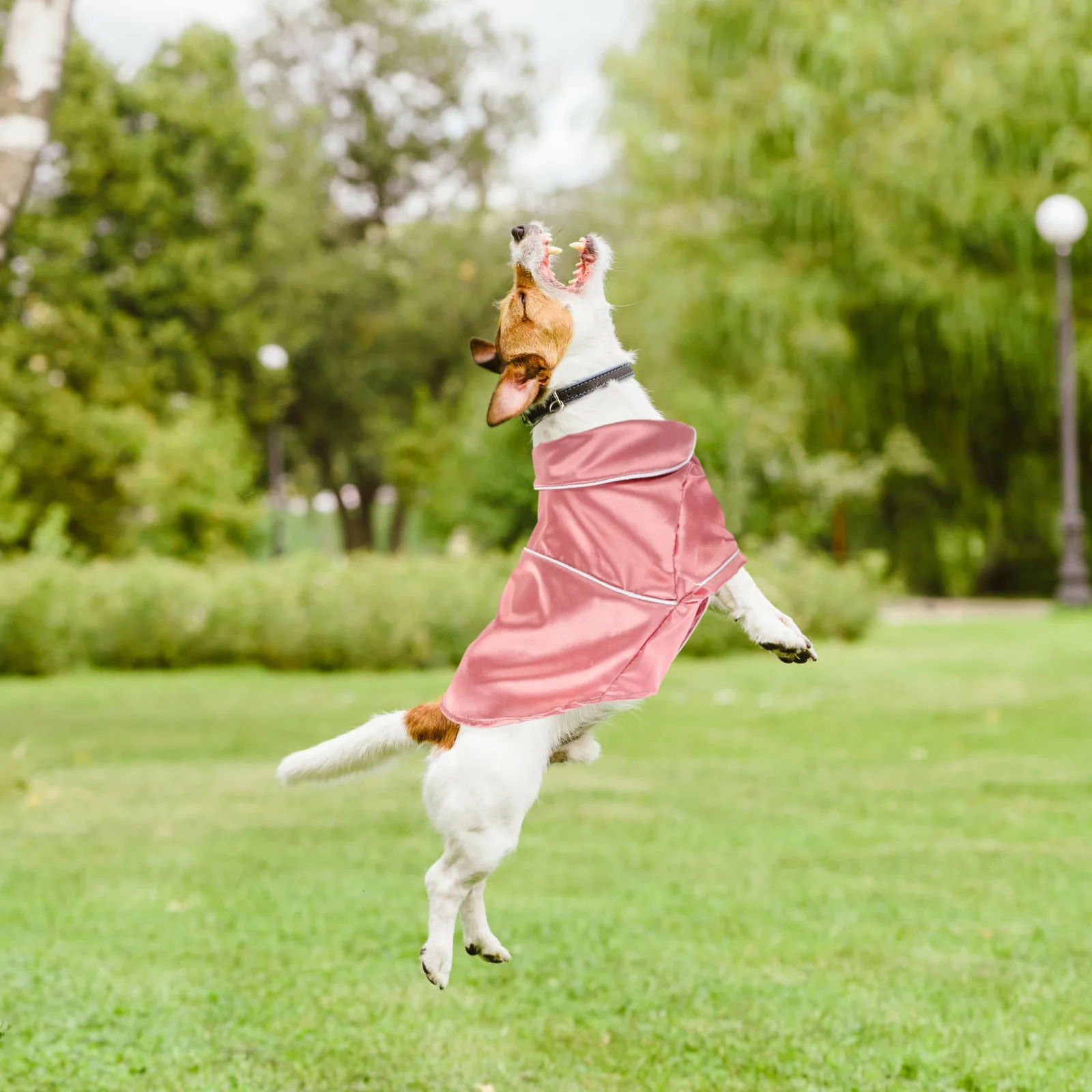 

Dog Cotton Pajamas Small Dog Clothes Baby Puppy Rompers Soft Comfortable Pet Sleep Costume Pet Pajamas Puppy Pajama